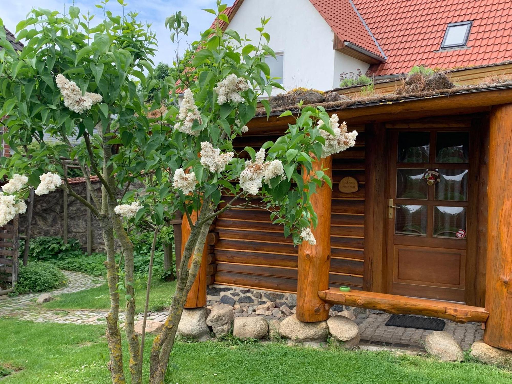Blockhausvermietung "Vor Dem Groeperntor" Quedlinburg Εξωτερικό φωτογραφία